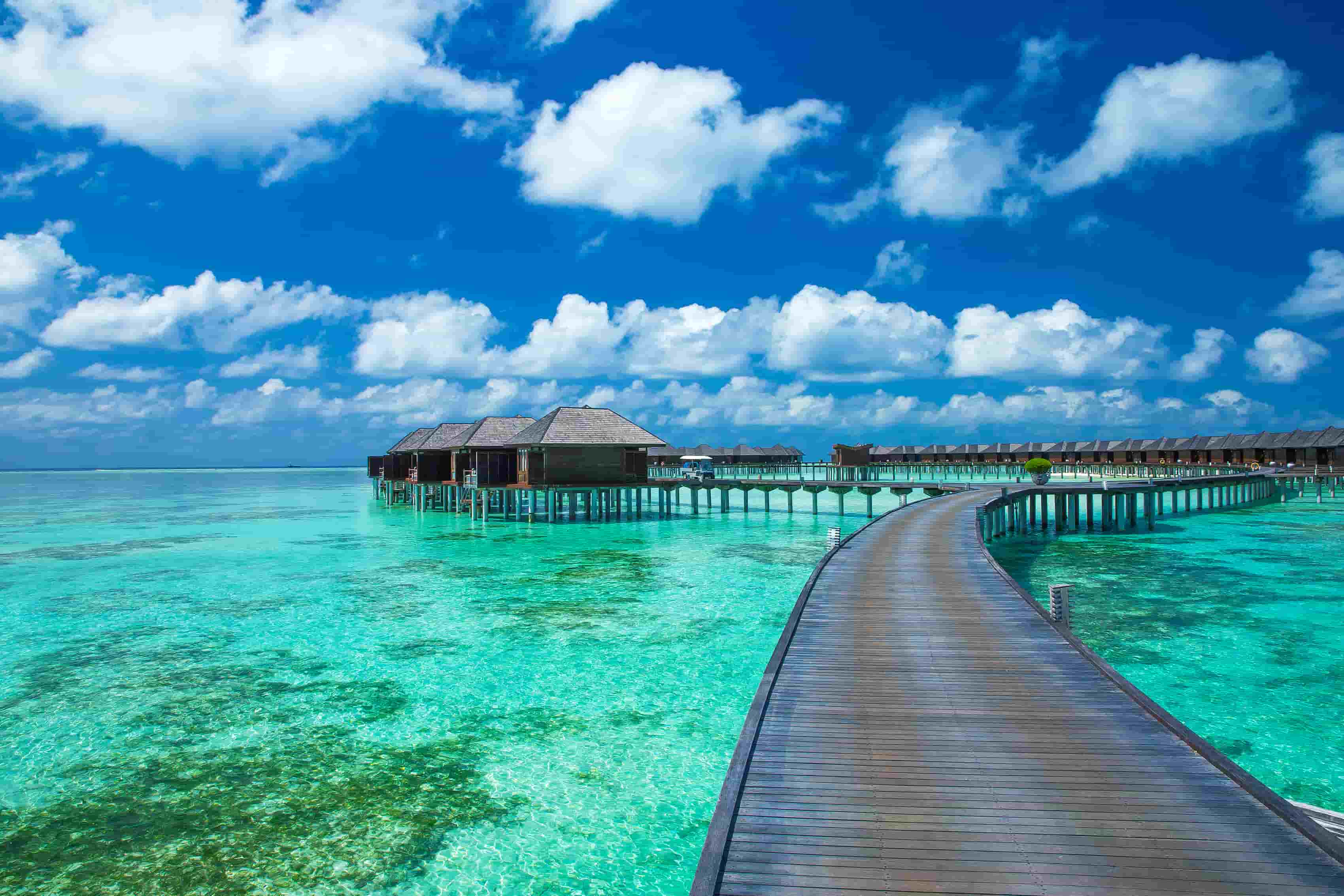 MALDIVES